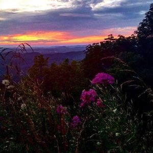 Meet your Posher, Jane