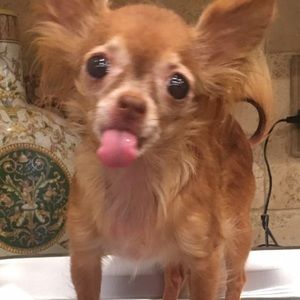 Meet your Posher, Veronica