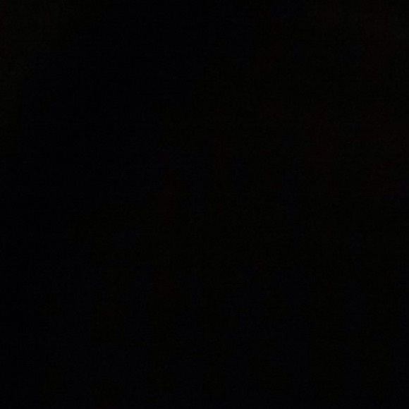 Meet your Posher, Lexi