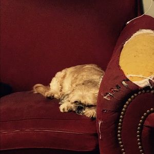 Meet your Posher, Laura