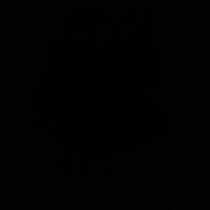 Meet your Posher, Peter