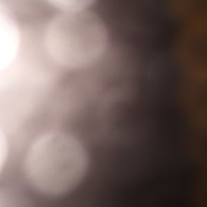 Meet your Posher, Rosa