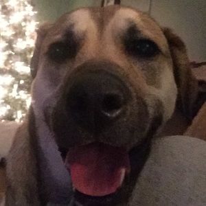 Meet your Posher, Cody