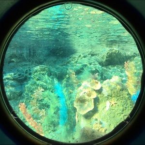 Meet your Posher, Issie