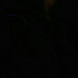 Meet your Posher, Anzion