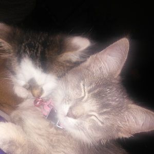 Meet your Posher, Kelly