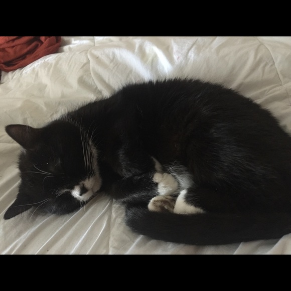 Meet your Posher, Krystal - Picture 1 of 1