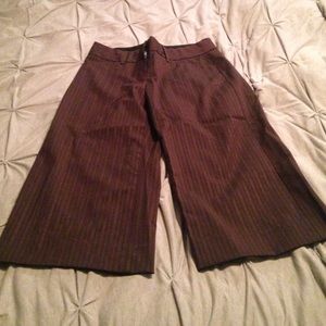 Express Editor Pants