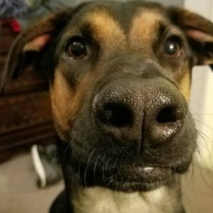 Meet your Posher, Seandra