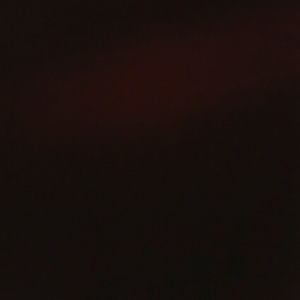 Meet your Posher, Timi