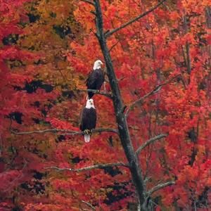 Meet your Posher, Teresa