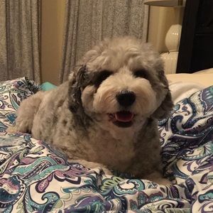 Meet your Posher, Kiley