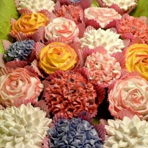 Meet your Posher, Kittie