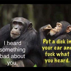 Meet your Posher, Kerensky