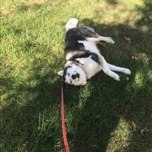 Meet your Posher, Kelli