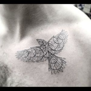 Meet your Posher, Brendan