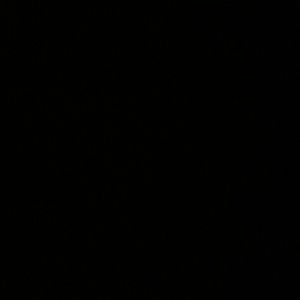 Meet your Posher, Donald