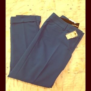 Royal Blue Express Dress Pants