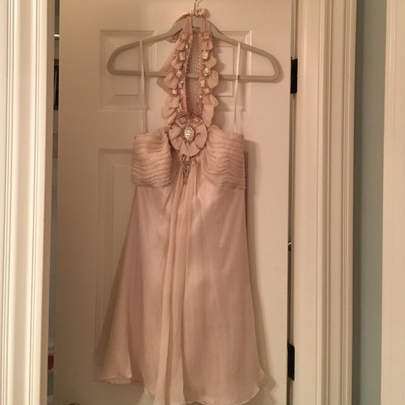 Adrianna Papell evening dress
