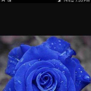 Meet your Posher, Mandi