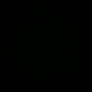 Meet your Posher, Malik