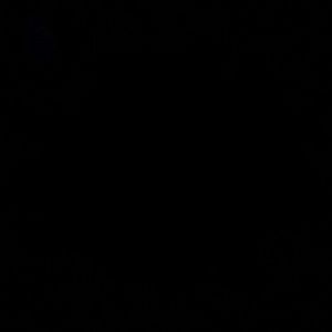 Meet your Posher, Ty