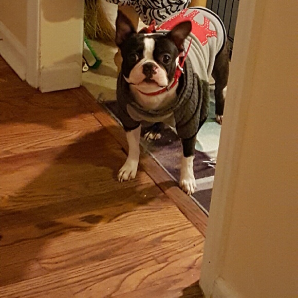 Cutness.  ????? - Picture 2 of 4