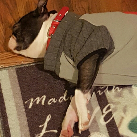 Cutness.  ????? - Picture 3 of 4