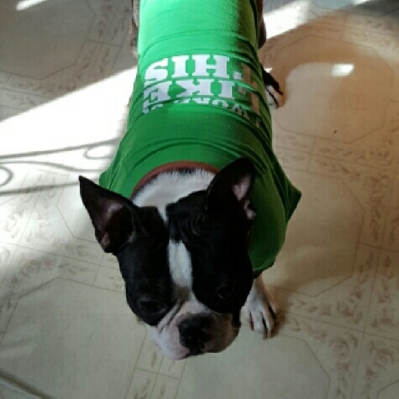 Cutness.  ????? - Picture 4 of 4