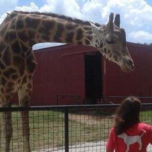 Meet your Posher, Katelyn