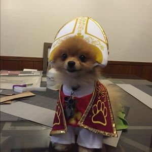 Meet your Posher, Antonio