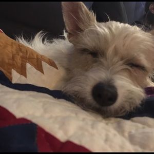 Meet your Posher, Melanie