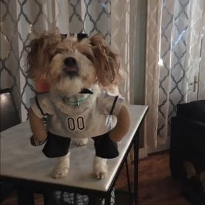 Meet your Posher, Larissa