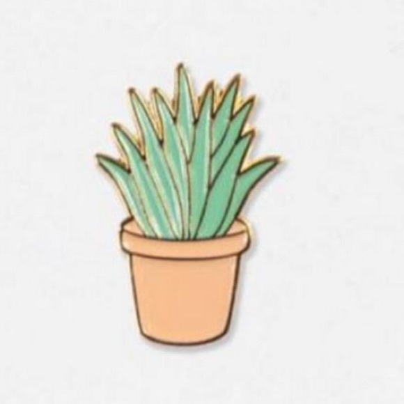 🌵Enamel Cactus Succulent in clay pot Pin🌵
