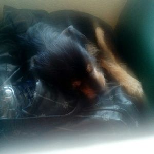 Meet your Posher, Christine