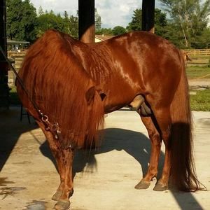 Meet your Posher, Alex