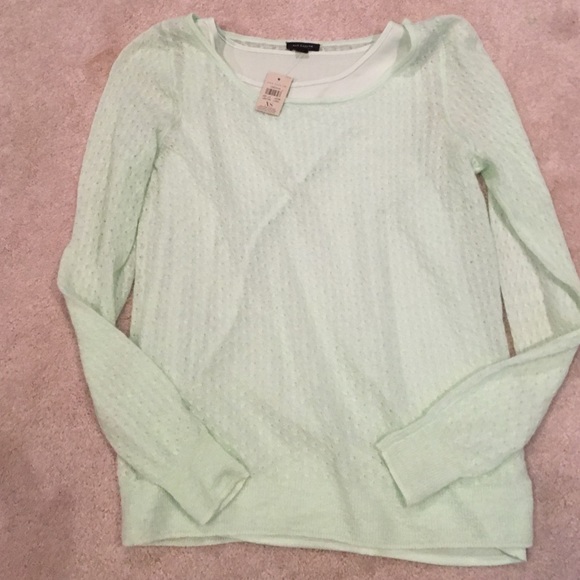 Ann Taylor Green Sweater