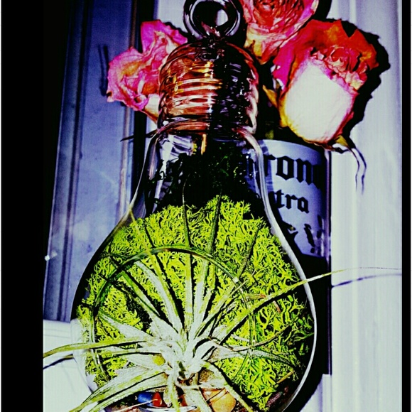 Meet your Posher, Nicole - Picture 5 of 6