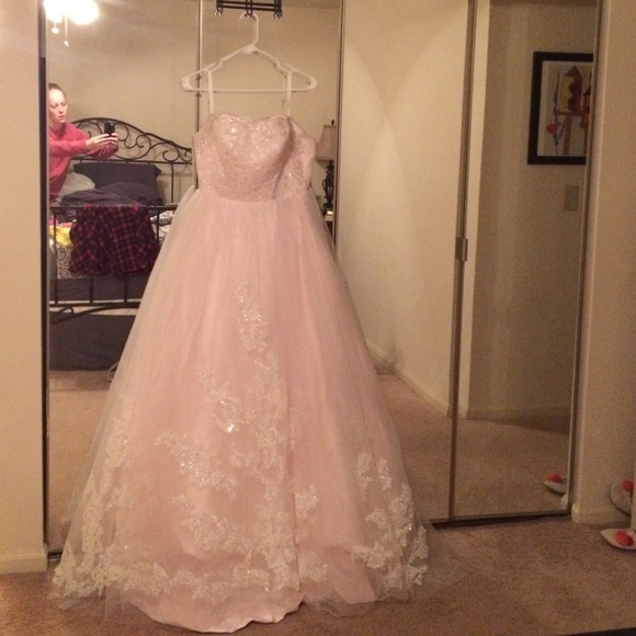 Pale pink wedding dress