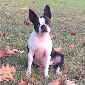 Meet your Posher, Beata