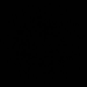 Meet your Posher, Tyriek