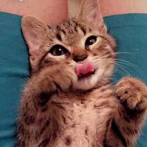 Meet your Posher, Cassie