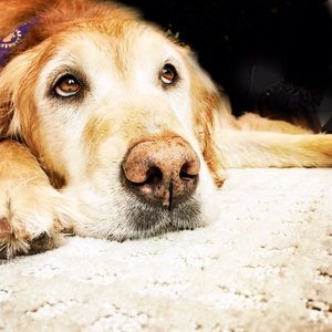 🎃Halloween Flash Sale!!!🎃