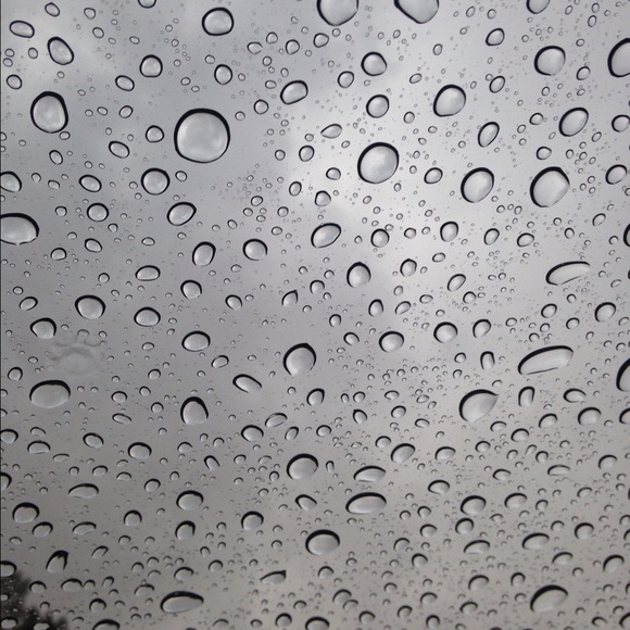 Meet your Posher, Amelia