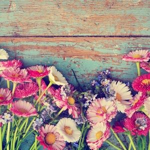 Meet your Posher, Lorie