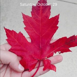 Meet your Posher, Gaby