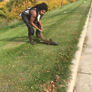 Meet your Posher, Donovan