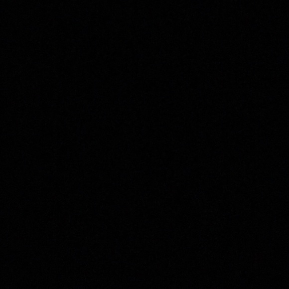 Meet your Posher, Leo - Picture 1 of 1