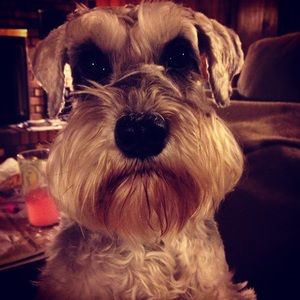 Meet your Posher, Beth