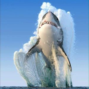 Meet your Posher, Anabel